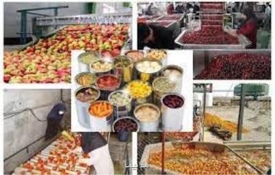 بهره برداری از 14 واحد صنایع تبدیلی غذایی در همدان