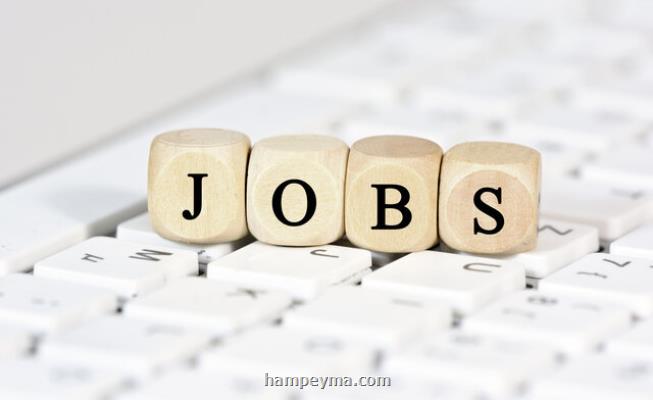 کاهش رشد مشاغل بخش خصوصی آمریکا