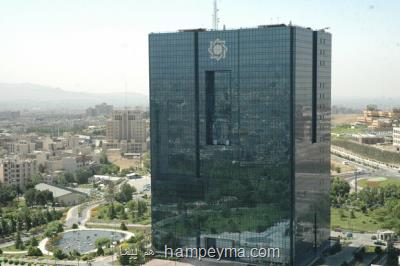 آمادگی بانک مرکزی برای اعطای وام مسکن روستایی