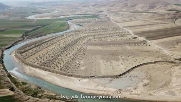 شناسایی هزاران هکتار اراضی مازاد دولتی با همکاری سازمان ثبت