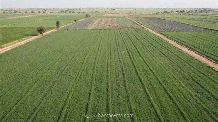 جایگاه مدیریت امور اراضی استان ها باید تقویت شود