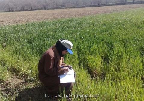 استفاده از ظرفیت های فارغ التحصیلان بیكار كشاورزی