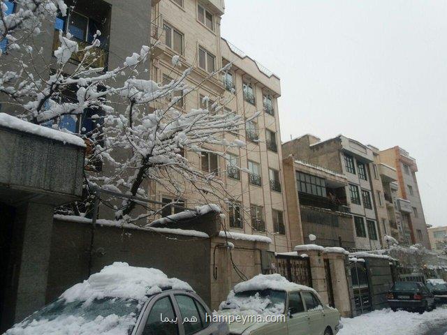 ورود فایل های سبز به بازار مسكن شب عید
