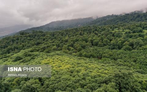 از مقابله با بیابان زایی تا تعدیل آب و هوا