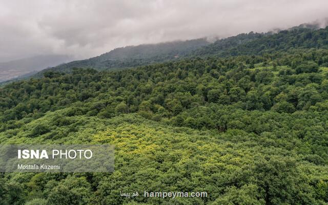 از مقابله با بیابان زایی تا تعدیل آب و هوا